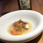 ル スプートニク - 