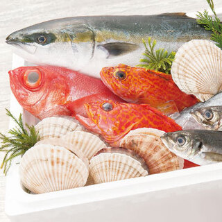 We deliver seasonal fresh fish from fishing ports across the country!