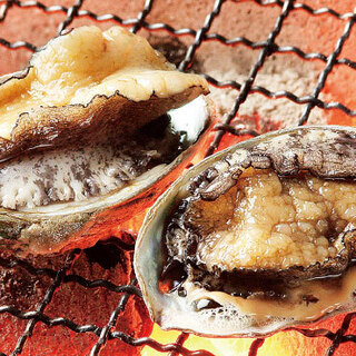 店内の生簀から提供する新鮮な活貝！