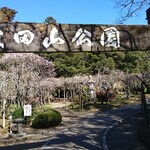 ひのでや - 成田山梅祭り