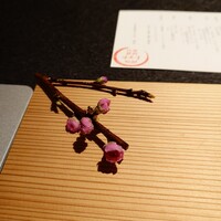 日本焼肉はせ川 別亭 銀座店 - 