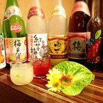 スチームダイニング しまぶた屋 - 県内人気の梅酒やリキュールも豊富に取り揃えました