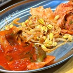 ハナムデジジップ - 