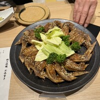 おもてなしとりよし 西新宿店 - 