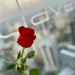 Octave Rooftop Lounge & Bar - 