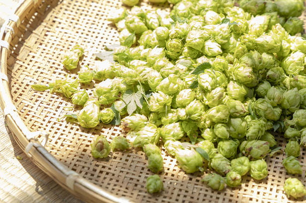 湯坊いちらく TENDO SPA & BREWERY &ndash; 天童の温泉料理旅館でくつろぎと地ビールを堪能