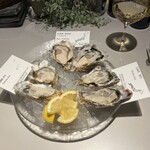 Oysterbar & Wine BELON - おまかせ生牡蠣の盛り合わせ