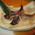 浜町 - 2014　目光り一夜干し