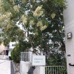 エレクトリックカフェ - 