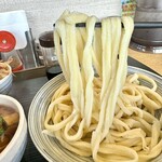 Takekuni Musashino Udon - コシのある太いうどん