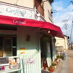 Cerfeuil - 