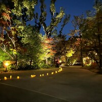 ザ・ガーデンオリエンタル・大阪 - 
