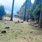 きままな台所 - 