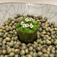 アニエルドール - 