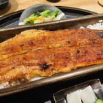 Unagi Yondai Me Kikukawa - 