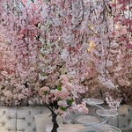 HAUTE COUTURE CAFE OMOTESANDO - 