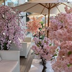 HAUTE COUTURE CAFE OMOTESANDO - 