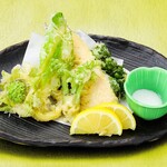 Kaisen Dokoro Sushi Tsune - 