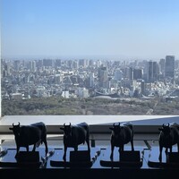 松阪牛 よし田 - 