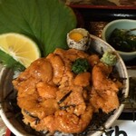 カフェウミネコ 放浪記 - 