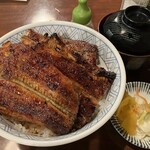 イチビキ - 上丼