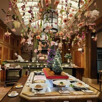 スプレンディード - 