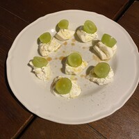 Potoro - 