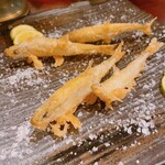 庵狐 恵比寿店 - 