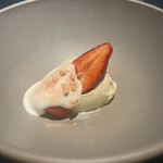 セルサルサーレ - 