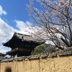 ピッツェリア ダ セルジオ - 般若寺。ボロボロでしたヾ(;;ﾟ□ﾟ︎;;)ﾉ
※お店の内容とは関係ありません。