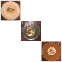 セルサルサーレ - 