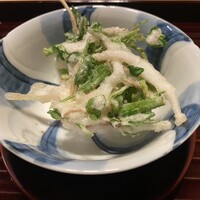 多仁本 - 