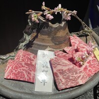 個室 和牛焼肉 吟 難波店 - 