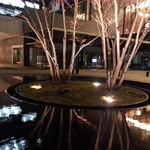 アクアヴィット - 噴水が静寂の演出を