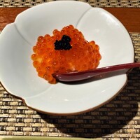 川崎 鮨 よこ田 - 