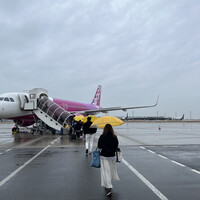 和琉料理 さりぃ -  和琉料理 さりぃ -
