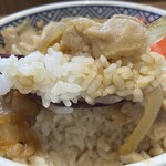 吉野家 - 『豚丼(並盛)+紅生姜』の具＆ご飯