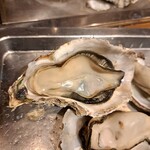 鹿酔庵 - 身が大きいですね