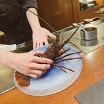 銀座 鉄板焼き Sublime - 