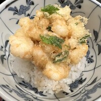 天ぷら わかやま - 