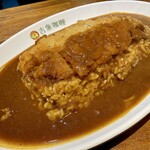 吉象カレー - ライス+ルー大盛