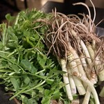 蔵の庄 総本店 - 