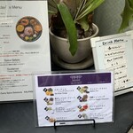 Curry Spice Gelateria KALPASI - 