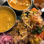 Curry Spice Gelateria KALPASI - 