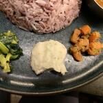 Curry Spice Gelateria KALPASI - 