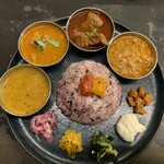 Curry Spice Gelateria KALPASI - カレー4種