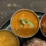 Curry Spice Gelateria KALPASI - ケララチキン