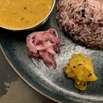 Curry Spice Gelateria KALPASI - 