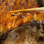 うなぎ亭 友栄 - 身厚青うなぎ