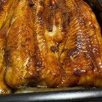 うなぎ亭 友栄 - 青うなぎ側面